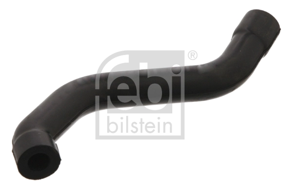 Hose, crankcase ventilation